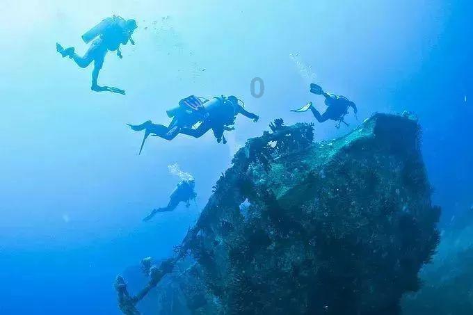 为何有人说曹真不死便无司马?曹真究竟起到了什么作用呢?-知识星球平台,打开学习新世界
